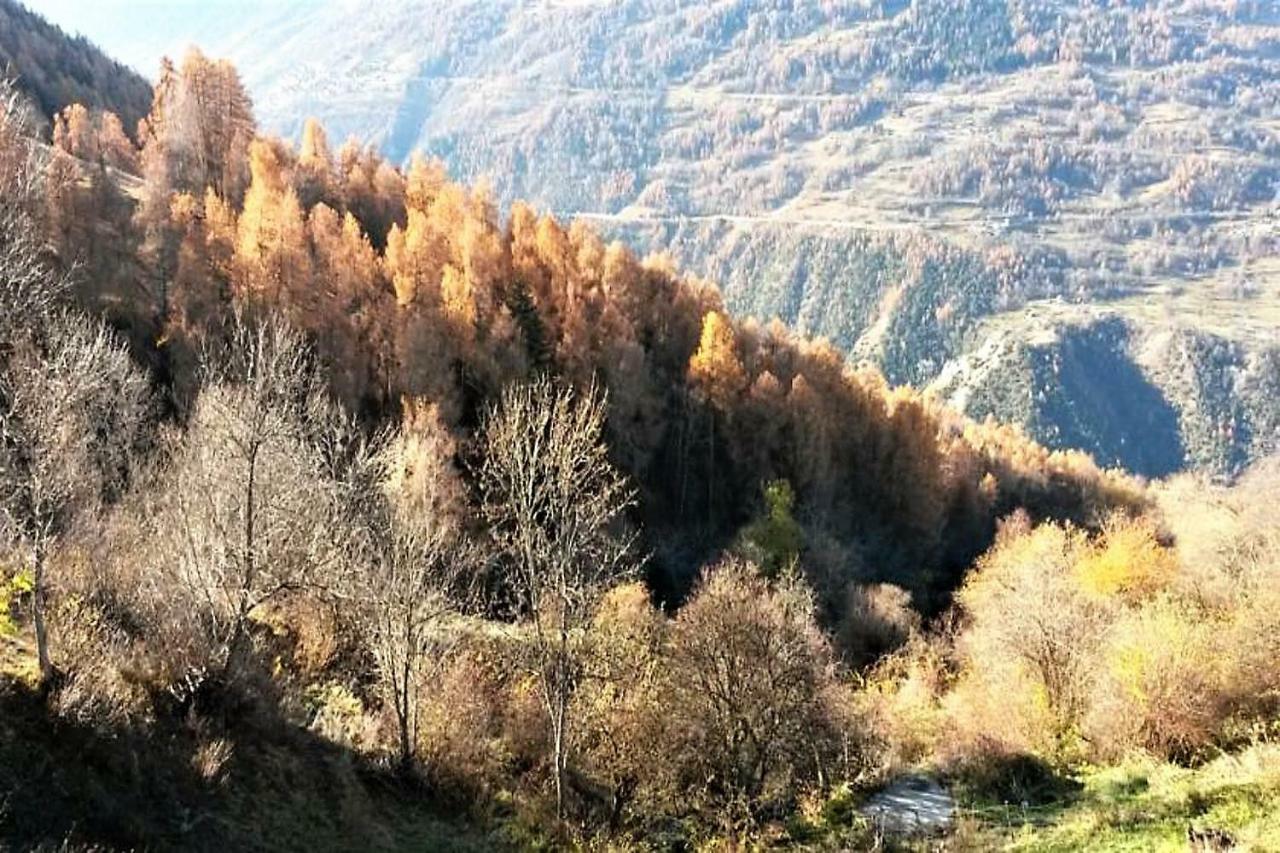 La Chaumiere D'Herens Vernamiège Exteriör bild